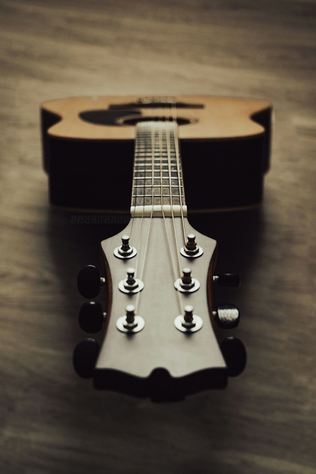 ハーモニーフォレスト音楽教室 5